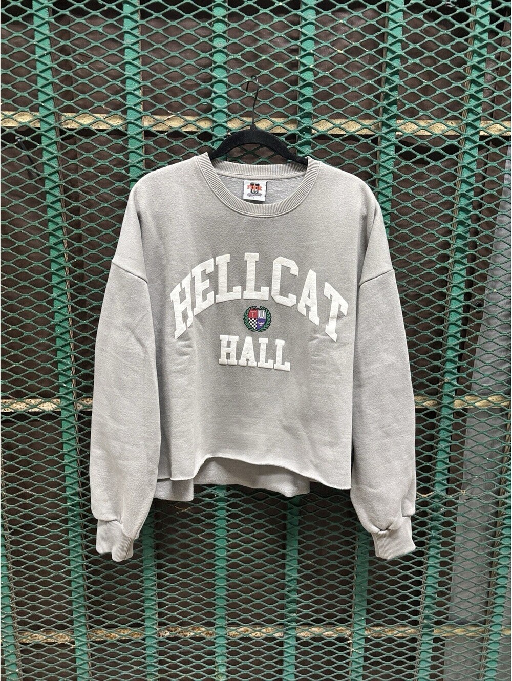 🔥 RARE F**k U University Hellcat Hall Sweatshirt Large 28x23 Cropped